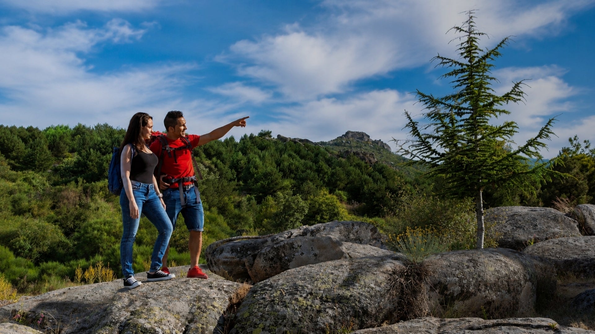 A couple of hikers standing on large rocks in a mountainous forest landscape under a blue sky with clouds, with one hiker pointing toward a distant peak.